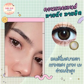 smoky brown คอนเเทคเลนส์ (Wink) มาตรฐานเกาหลีเลนสนิ่ม ใส่สบายตา