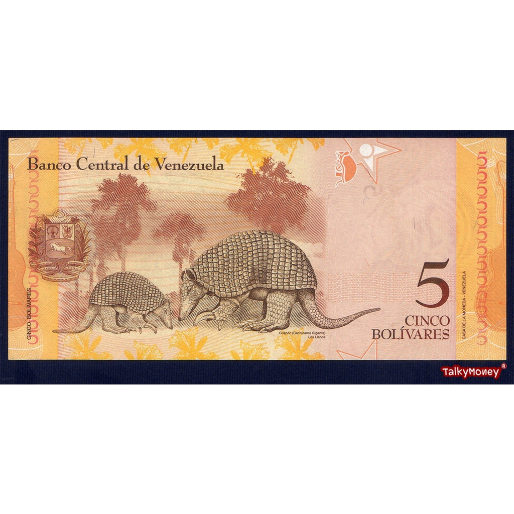 ธนบัตร เวเนซูเอลา Venezuela 5 โบลิวาเรส รุ่นปี 2011-2014 P-89 สีสวยสภาพใหม่เอี่ยม 100% UNC เหมาะสำหรับสะสม ราคา ถูกที่สุด ดีลบีเคเค แกลเลอรีภาพที่ 3