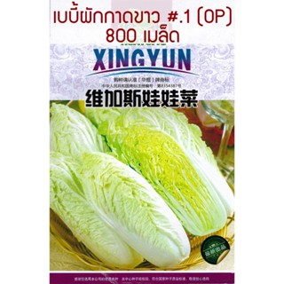 （คุณภาพสูง เมล็ด）เมล็ด เบบี้ผักกาดขาวปลี #.1   Baby Chinese Cabbane  สายพันธุ์ OP บรรจุ : 800/ง่าย ปลูก สวนครัว /มะระ GT
