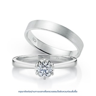 เซตแหวนเพชร Young Six Prongs Solitaire &amp; Young Satin Band Bundle Set (RC807-RM801)