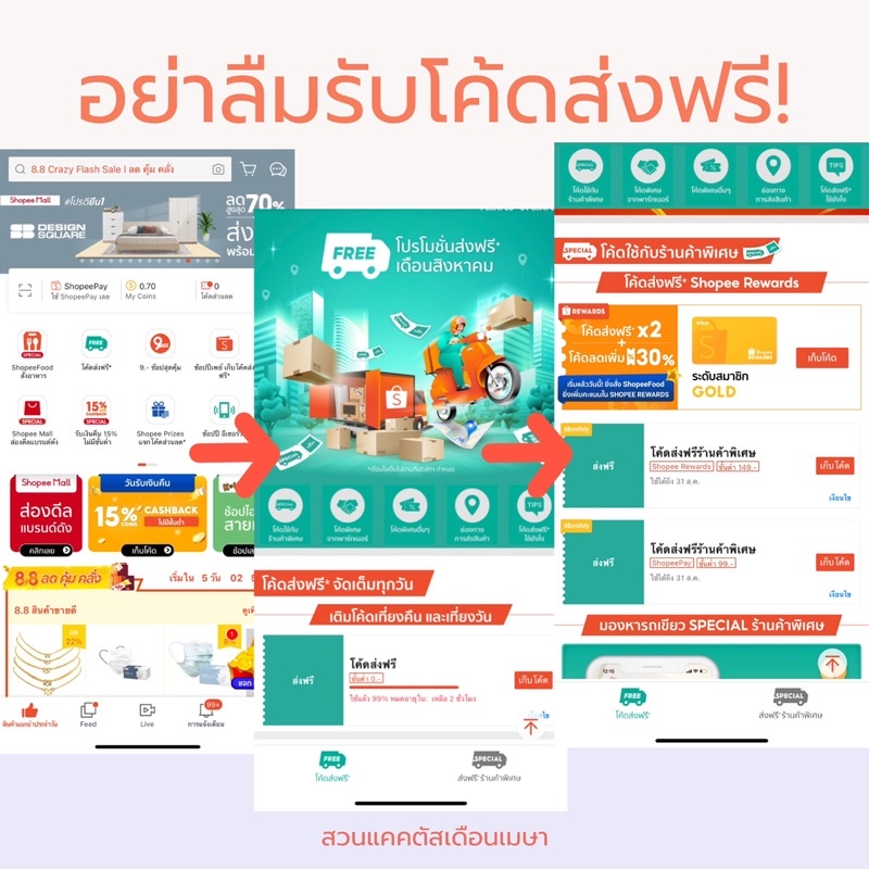 แมมแม่เฒ่า แคคตัส แบบพอต คุ้มๆในกระถาง 2.5” ส่งทั้งกระถางเลยค่ะ 🪴 - รูปที่ 7