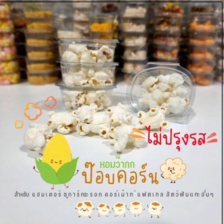 ป๊อบคอร์น ของโปรด แฮมเตอร์ กระรอก ชูการ์ เเละสัตว์เล็กอื่นๆๆ (ไม่ปรุงรส หอมเกินยั้วใจ)