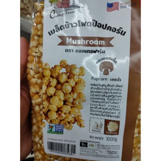 เมล็ดข้าวโพดป็อปคอร์น Popcorn 🍿 Mushroom 🍄 1kg