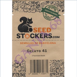 Gelato 41 - Seed Stockers