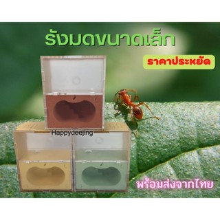รังมดขนาดเล็ก ราคาถูก เหมาะสำหรับมือใหม่ มีให้เลือก 3 สี