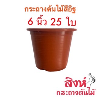 กระถางสีอิฐ 6 นิ้ว 25 ใบ