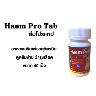 Haem pro ฮีมโปร แทป บำรุงเลือดชนิดเม็ด ขนาด 40 เม็ด