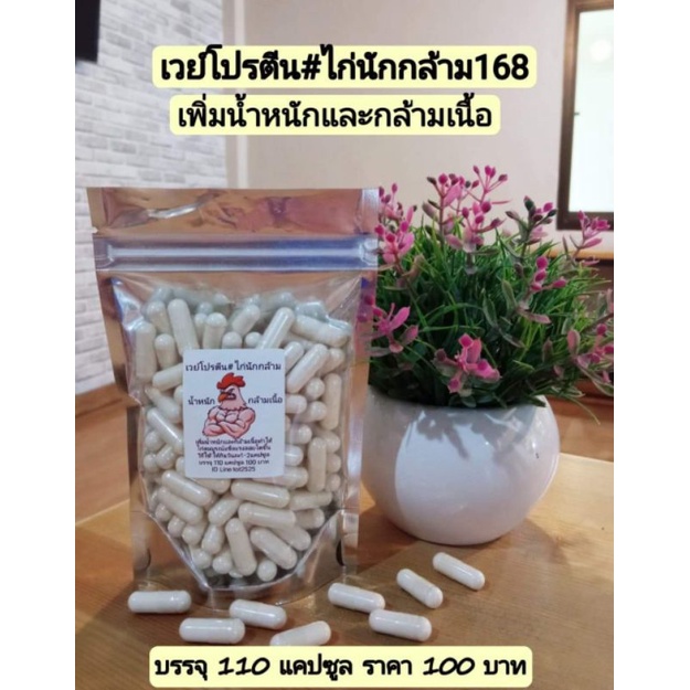 เวย์โปรตีนเwิ่มน้ำหนักและกล้ามเนื้อสำหรับไก่ชน ไก่นักกล้าม168 บรรจุ110 แคปซูล  100บาท