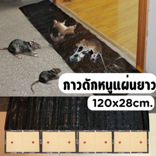 แผ่นกาวดักหนู ขนาด 120CM x 28CM กาว ดักหนูแผ่นใหญ่ ดักหนู หนู กาวดี คุ้มมาก พร้อมส่ง