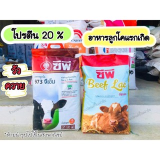 อาหารซีพี CP อาหารวัวแรกเกิด อาหารลูกโค อาหารลูกวัว 973GM ขนาดบรรจุ 10 กก.