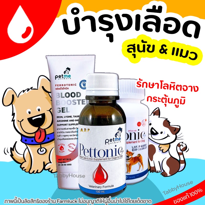 💚ดูดซึมได้100%💚 วิตามินบำรุงเลือด สุนัข แมว สัตว์เลี้ยง Pettonic วิตามินเสริมธาตุเหล็ก VitaminK1