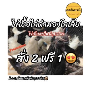 🐓ไข่เชื้อไก่ดำมองโกเลีย🐓ไข่ไก่เก็บสดใหม่ทุกฟอง✅เชื้อ90%‼️