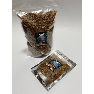 หนอนนกอบ Dried Mealworms หนอนนกอบแห้งตัวใหญ่พร้อมทาน ทานเป็นของว่างหรือควบคู่ผักผลไม้ เหมาะสำหรับทานแมลง