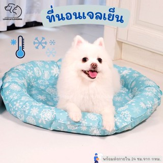 ที่นอนเจลเย็น🐶🐱ที่นอนเย็น ที่นอนแมวเย็น ❄️ ที่นอนแมว ที่นอนสุนัข PET COOLING NEST [พร้อมส่ง]