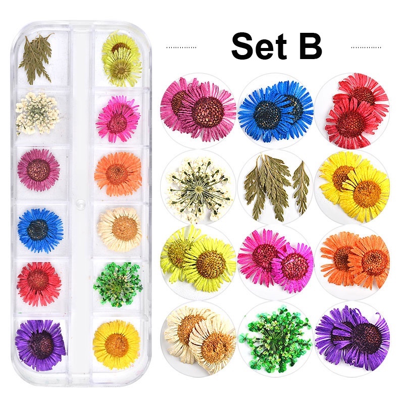 Misscheering Box 24 ดอกไม ้ แห ้ ง 12 สี ตกแต ่ งเล ็ บใหม ่ - รูปที่ 3