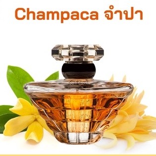 หัวเชื้อน้ำหอมกลิ่น &gt;&gt;&gt; จำปา &lt;&lt;&lt;  เข้มข้นติดทนยาวนาน FRAGRANCE OIL ขนาด 30ml