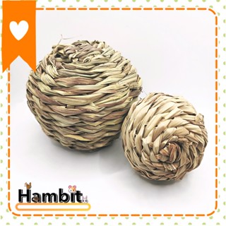 Hambit. ลูกบอลหญ้าของเล่น ลูกบอลหญ้า ของเล่นกระต่าย ของเล่นชินชิล่า