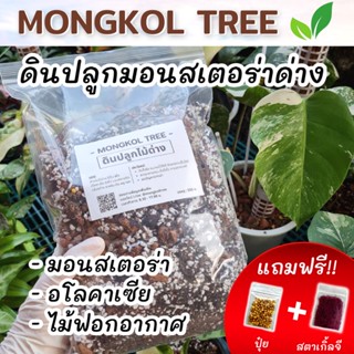 (แถมฟรี!! ปุ๋ย+สตาเกิ้ลจี) ดินปลูกไม้ด่าง 1 กก. วัสดุปลูก สูตรพรีเมี่ยม บำรุงรากให้รากเดินดี ปลูกมอนสเตอร่า ไม้ฟอกอากาศ