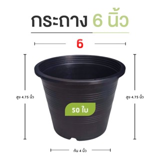 แพ็ค 50 ใบ กระถางต้นไม้ 6 นิ้ว กระถางพลาสติก สีดำ