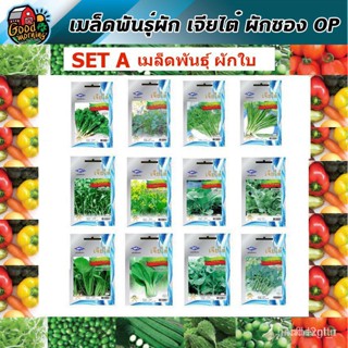 ผลิตภัณฑ์ใหม่ เมล็ดพันธุ์ เมล็ดพันธุ์คุณภาพสูงในสต็อกในประเทศไทยผักซอง เจียไต๋ OP  set A (16 ชนิด) ผักใบ ตราเคร /คะน้า E