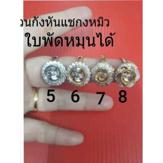 แหวนกังหันแชกงหมิวมีไซต์ 49-63