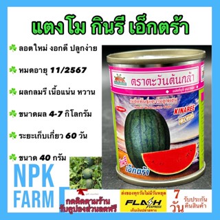 แตงโม กินรี เอ็กตร้า ขนาด 40 กรัม ตะวันต้นกล้า ลอตใหม่ หมดอายุ 11/2567 งอกดี ผลทรงกลมรี ผิวสีดำ ลายเส้นดำ เนื้อแน่น