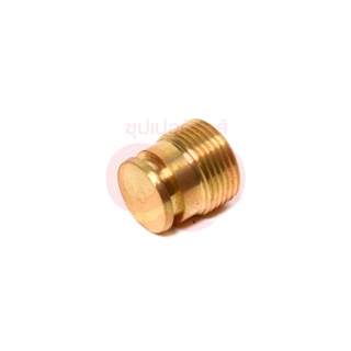 KARCHER SCREW PLUG สามารถออกใบกำกับภาษีเต็มรูปแบบได้ (คาร์เชอร์)