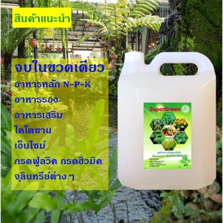 น้ำหมักขี้ค้างคาว น้ำหมักมูลค้างคาว ปุ๋ยชีวภาพ ซุปเปอร์กรีน Super Green 5กก. สุดยอดอินทรีย์สารที่พืชต้องการ น่ามีติดบ้าน