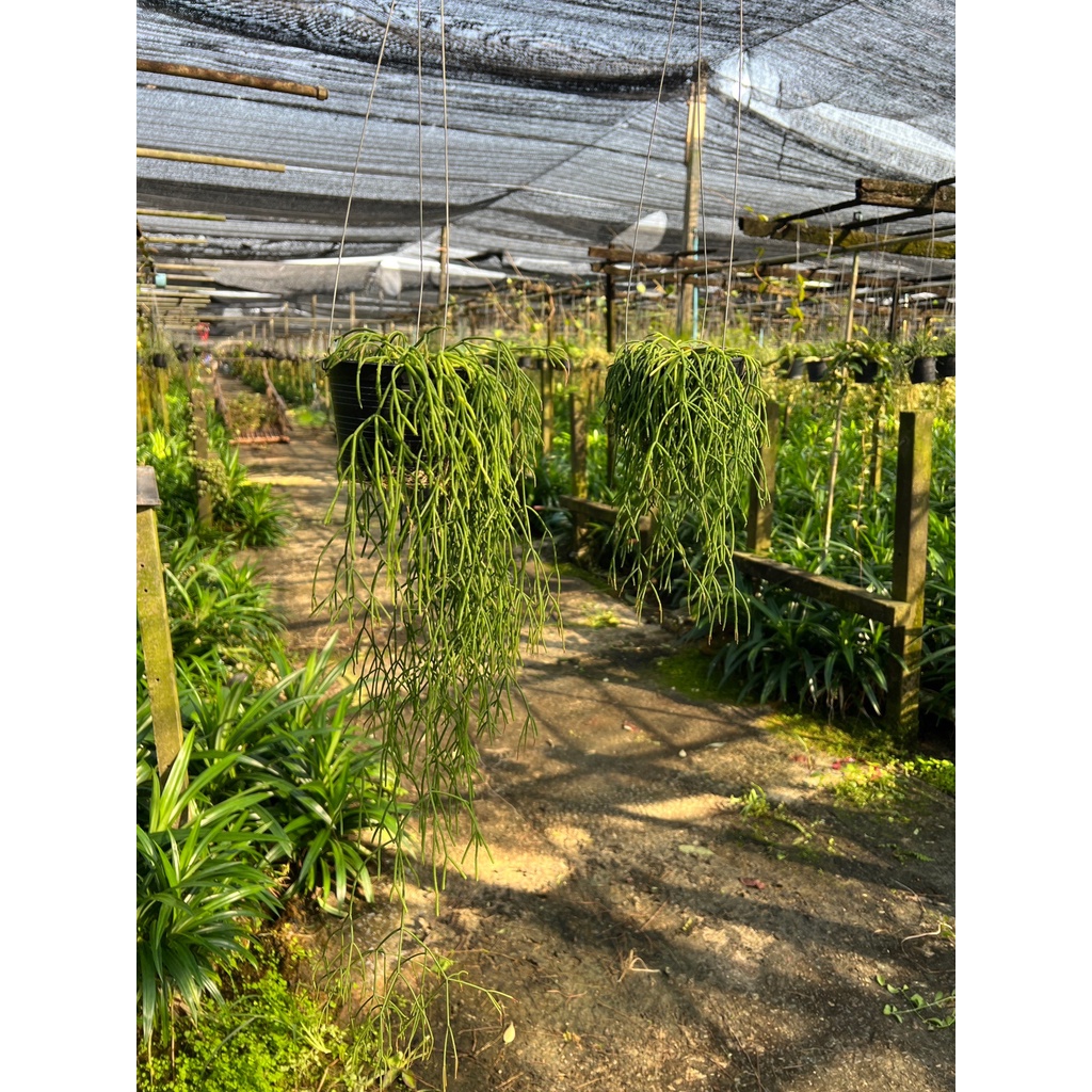 มุมมอง 4