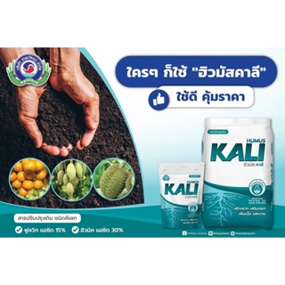 🔥ส่งฟรี🔥 ฮิวมัสคาลี กระสอบ 10กก. สารอินทรีย์สกัดชนิดเข้มข้นสูตรพิเศษ เพื่อการฟื้นต้น สร้างดอก ขยายผล สามารถใช้ได้กับพ...