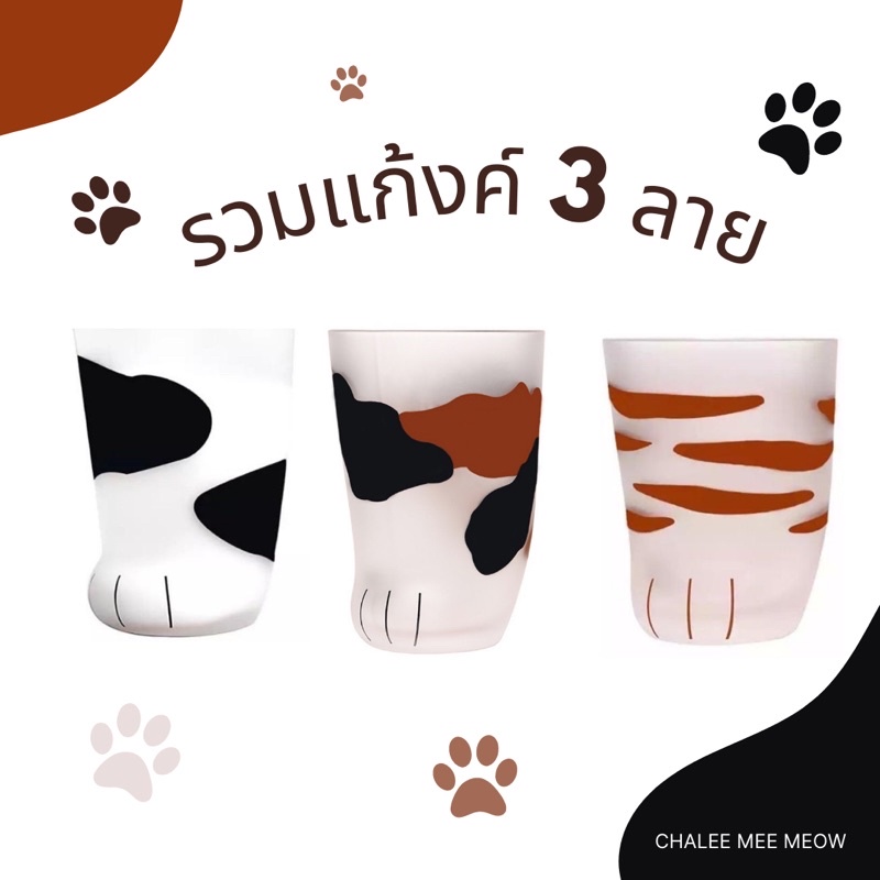 (พร้อมส่ง) แก้วน้ำลายเท้าแมว(ลายแมวส้ม/ลายน้องวัว/ลายต้าวสามสี)