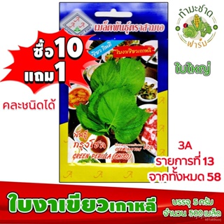 ผลิตภัณฑ์ใหม่ เมล็ดพันธุ์ จุดประเทศไทย ❤เมล็ดพันธุ์[10แถม1] 3A เมล็ดอวบอ้วน ใบงาเขียวเกาหลี ประมาณ 500 เมล็ด /ซอ/ผักชี W