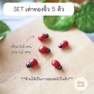 โมเดลก้อนมอส เต่าทอง สำหรับทำโมเดล ตกแต่งสวนถาด สวนโหลแก้ว บ้านตุ๊กตา Miniature Diorama