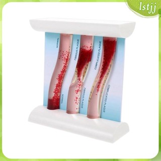 [Lstjj] Vessel โมเดลไดนามิก สีตัดกัน สําหรับทางการแพทย์