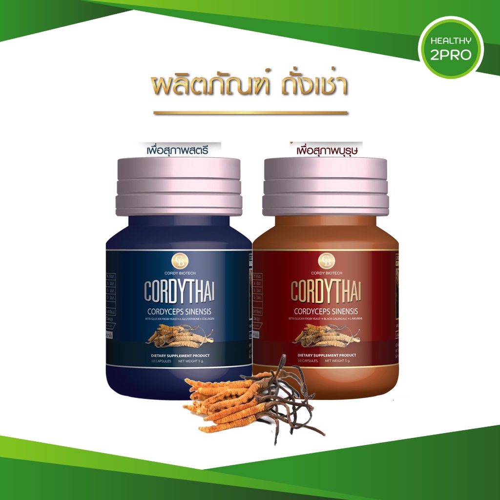 ถั่งเช่า ม.เกษตร🎈 ถั่งเช่าคอร์ดี้ไทย โดย ศาสตราจารย์ ดร.มณจันทร์ เมฆธน ของแท้100% มี2 สูตร ขนาด 10 แคปซูล