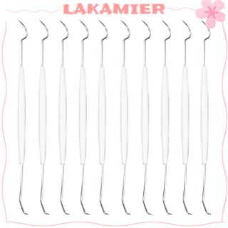 Lakamier 10 ชิ้น โพรบทันตกรรม สเตนเลส สองหัว เครื่องมือทันตกรรม มุสลิม เลือกฟัน