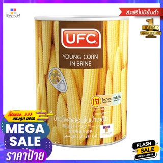 ยูเอฟซีข้าวโพดอ่อนในน้ำเกลือ 565กรัม UFC Baby Corn in Brine 565g.