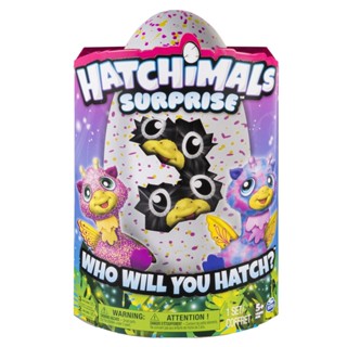 Hatchimals Surprise – Hatching Egg with Surprise Twin Interactive Hatchimals （Random Pick） Hatchimals ไข่เซอร์ไพรส์ ฟักไข่ ด้วยความประหลาดใจ กักตัว แบบโต้ตอบคู่ (สุ่มเลือก)