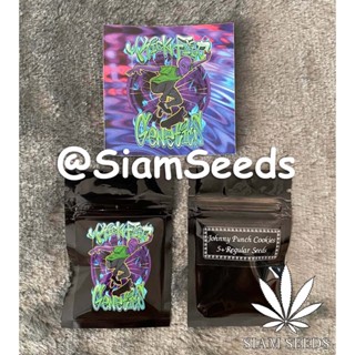 เมล็ดกัญชา Kickflip Genetics Johnny Punch Cookies Regular Cannabis Seeds (Pack of 5+)