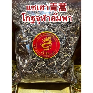 แชเฮา青蒿 โกฐจุฬาลัมพา ชิงเฮา แชเฮา สมุนไพรโกฏจุฬารำพา โกฐจุฬารำพา