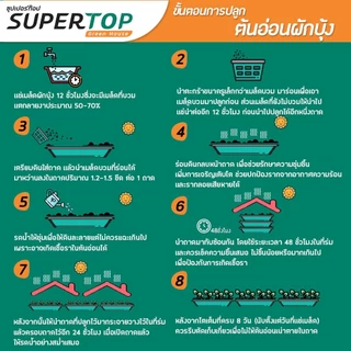 เมล็ดเพาะต้นอ่อน ผักบุ้งจีน พันธุ์เรียวไผ่ (Water convolvulus Microgreen) SUPERTOP ขนาด 1 KG.