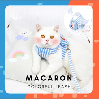 [🚚 พร้อมส่ง] สายจูงแมว Macaron Colorful Leash สายจูง สายจูงสุนัข สายจูงสัตว์เลี้ยง สายจูงหมา