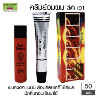 ครีมย้อมผม จัสท์โมเดอร์น สีดำ เอ1/เอ2  Just Modern Hair Colour BLACK A1/A2