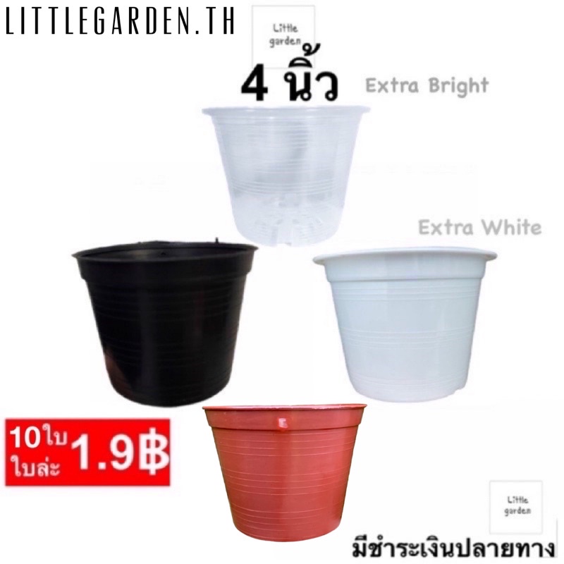 Little กระถางแคคตัส 4 นิ้ว