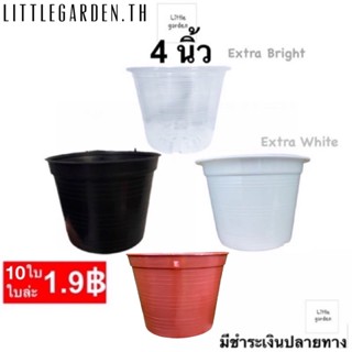 Little กระถางแคคตัส  4  นิ้ว