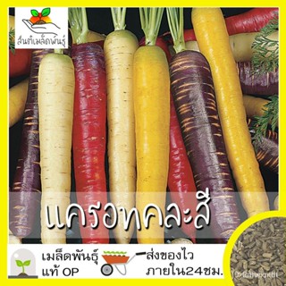 ผลิตภัณฑ์ใหม่ เมล็ดพันธุ์ จุดประเทศไทย ❤เมล็ดพันธุ์เมล็ดอวบอ้วน แครอทคละสี 400เมล็ด Rainbow Mixed Carrot Seed เ /มะเขือ