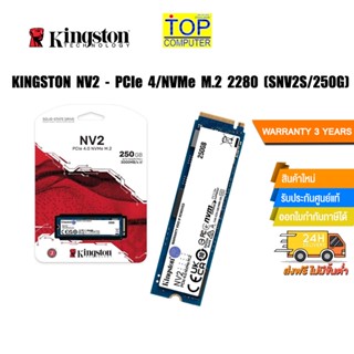 KINGSTON NV2 - PCIe 4/NVMe M.2 2280 (SNV2S/250G) /ประกัน3y