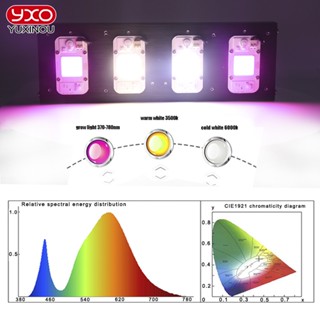 โคมไฟ LED 2000W COB DOB 110V 220V พร้อมพัดลมระบายความร้อน สําหรับปลูกพืชอย่างรวดเร็ว