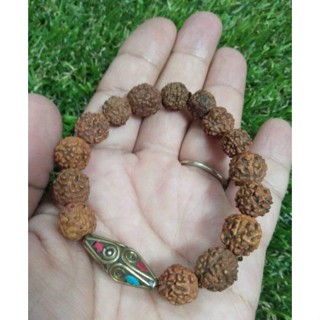 Model:HD002 #สร้อยข้อมือเมล็ดรุทรักษะ #เมล็ดน้ำตาพระศิวะ #NepalBead(7-10mm.)