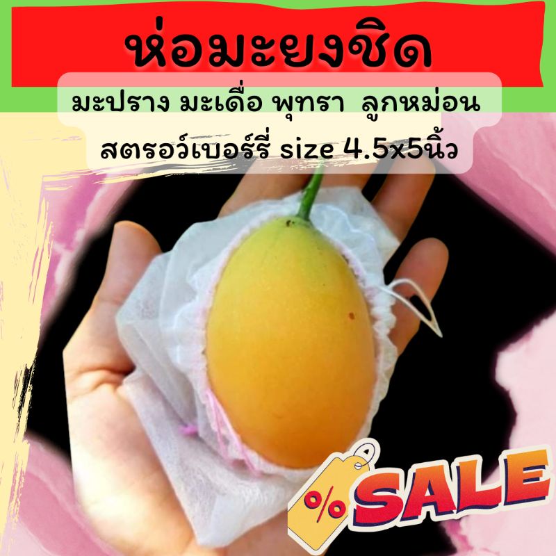ถุงห่อผลไม้ กันแมลง ขนาด 4x5นิ้ว มะยงชิด มะปราง มะเดื่อ สตรอว์เบอร์รี่ แพ็ค 100ใบ